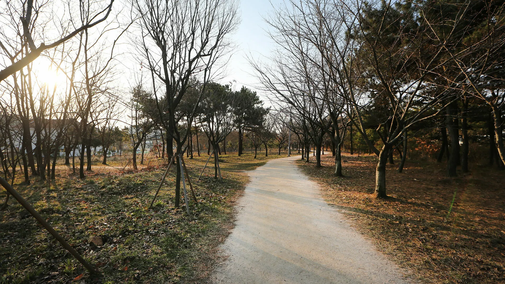 Hotel Runway Guesthouse - Hostel Incheon